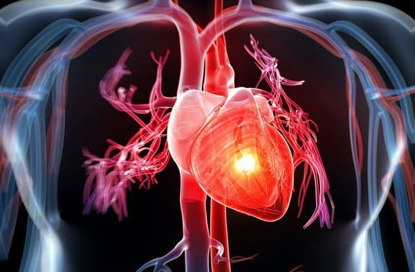 ai dùng được đông trùng hạ thảo, ai không nên dùng đông trùng hạ thảo, ai nên dùng đông trùng hạ thảo, những ai không dùng được đông trùng hạ thảo, có nên dùng đông trùng hạ thảo, ai nên uống đông trùng hạ thảo