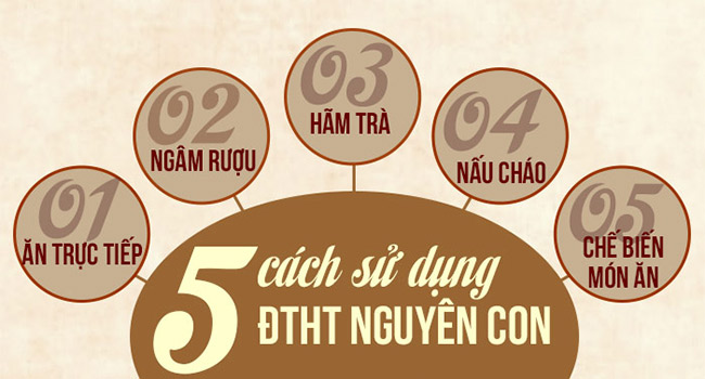 Hướng dẫn 5 cách sử dụng đông trùng hạ thảo đúng nhất