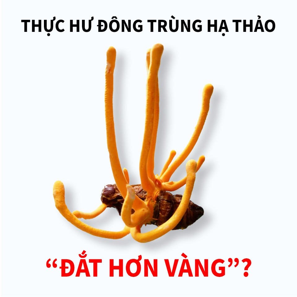 Đông trùng hạ thảo Nagaki
