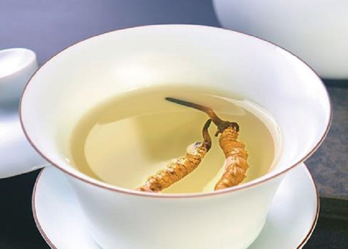 Dùng Đông trùng hạ thảo pha trà đông trùng hạ thảo tươi, đông trùng hạ thảo ngâm rượu, cách ăn đông trùng hạ thảo tươi, đông trùng hạ thảo pha trà