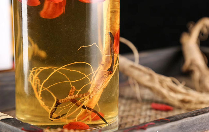 Đông trùng hạ thảo ngâm rượu đông trùng hạ thảo tươi, đông trùng hạ thảo ngâm rượu, cách ăn đông trùng hạ thảo tươi, đông trùng hạ thảo pha trà
