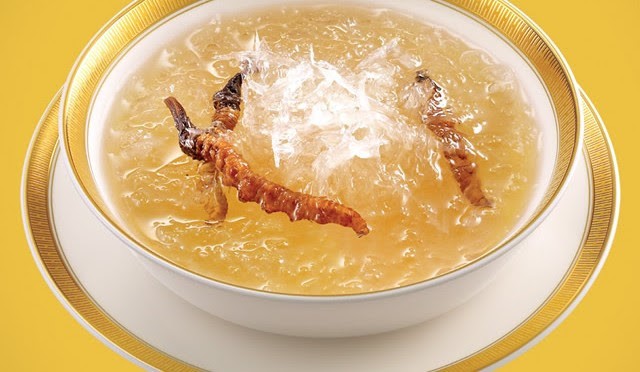 Chưng Đông trùng hạ thảo tươi với Yến đông trùng hạ thảo tươi, đông trùng hạ thảo ngâm rượu, cách ăn đông trùng hạ thảo tươi, đông trùng hạ thảo pha trà