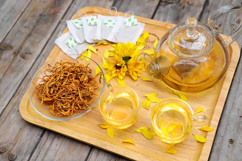 cách ăn đông trùng hạ thảo khô, đông trùng hạ thảo sấy khô , đông trùng hạ thảo khô có tác dụng gì , đông trùng hạ thảo khô ngâm mật ong , đông trùng hạ thảo khô, đông trùng hạ thảo mật ong, đông trùng hạ thảo khô ngâm rượu, đông trùng hạ thảo pha trà