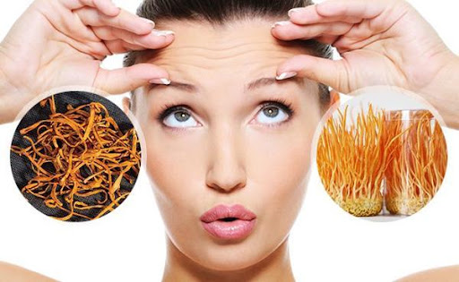 rượu đông trùng hạ thảo, đông trùng hạ thảo tươi, đông trùng hạ thảo ngâm rượu, rượu đông trùng hạ thảo có tác dụng gì, đông trùng hạ thảo khô ngâm rượu, đông trùng hạ thảo rượu