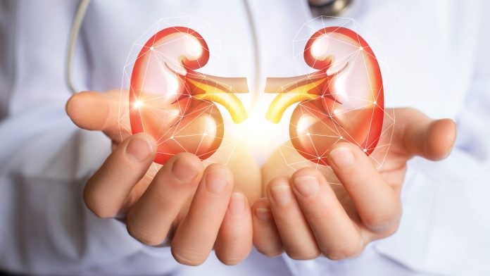 đông trùng hạ thảo có tác dụng gì, đông trùng hạ thảo tác dụng, dong trùng hạ thảo, đông trùng hạ thảo uống có tác dụng gì, đông trùng hạ thảo bổ thận, đông trùng hạ thảo là gì tác dụng, ăn đông trùng hạ thảo có tác dụng gì, ăn đông trùng hạ thảo, đông trùng hạ thảo để làm gì