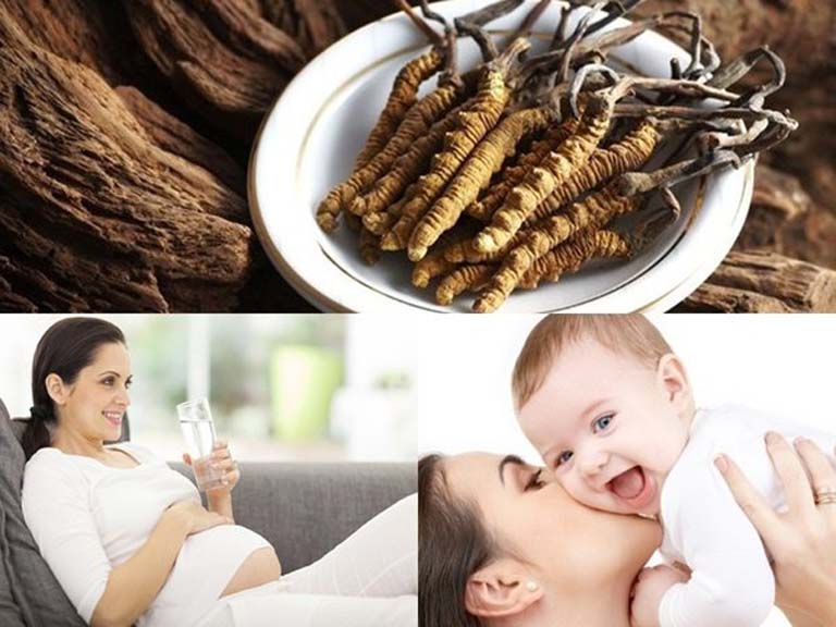 đông trùng hạ thảo kỵ gì, dong trùng hạ thảo, ăn đông trùng hạ thảo