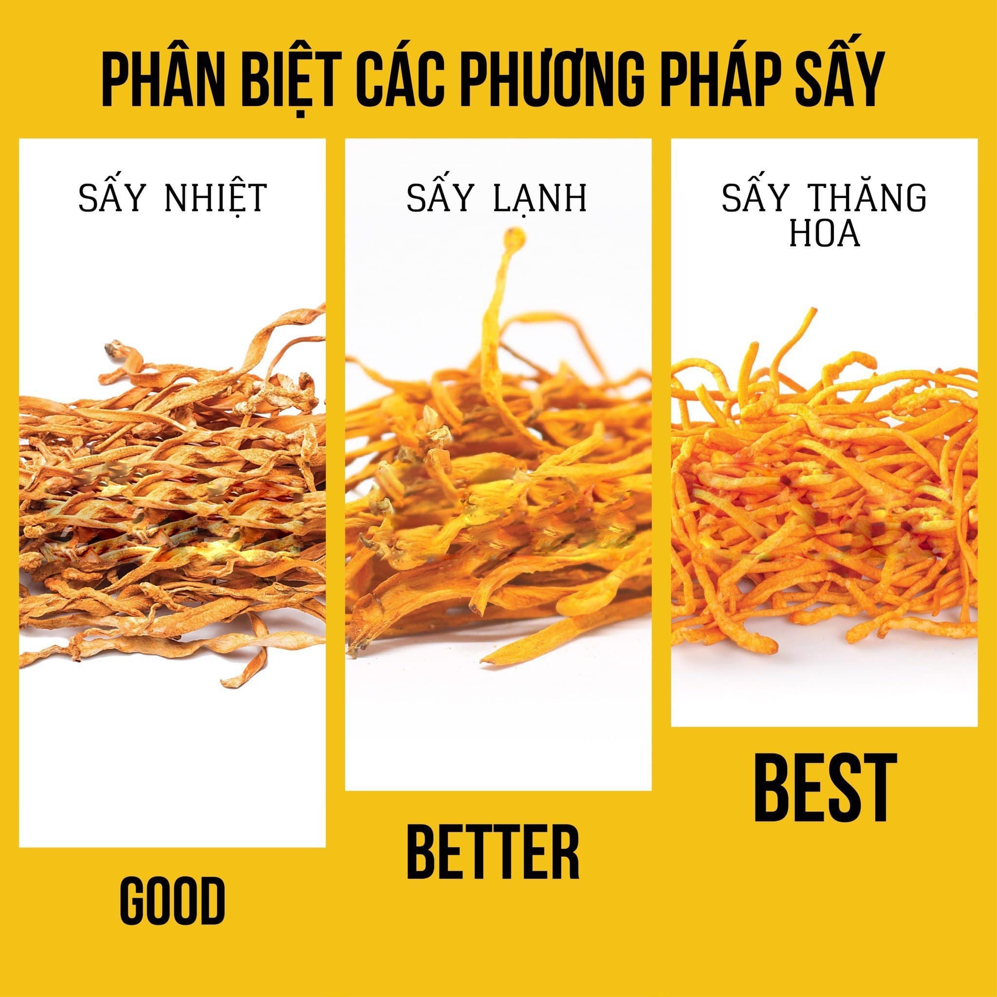 Giá đông trùng hạ thảo khô Tây Tạng giá đông trùng hạ thảo khô, giá bán đông trùng hạ thảo khô, đông trùng hạ thảo khô giá bao nhiêu, giá nấm đông trùng hạ thảo khô, nấm đông trùng hạ thảo khô giá bao nhiêu, giá của đông trùng hạ thảo khô, đông trùng hạ thảo hana, giá đông trùng hạ thảo khô việt nam, đông trùng hạ thảo khô việt nam, giá nấm đông trùng hạ thảo sấy khô, giá đông trùng hạ thảo khô tây tạng, giá đông trùng hạ thảo sấy khô, tại sao đông trùng hạ thảo đắt