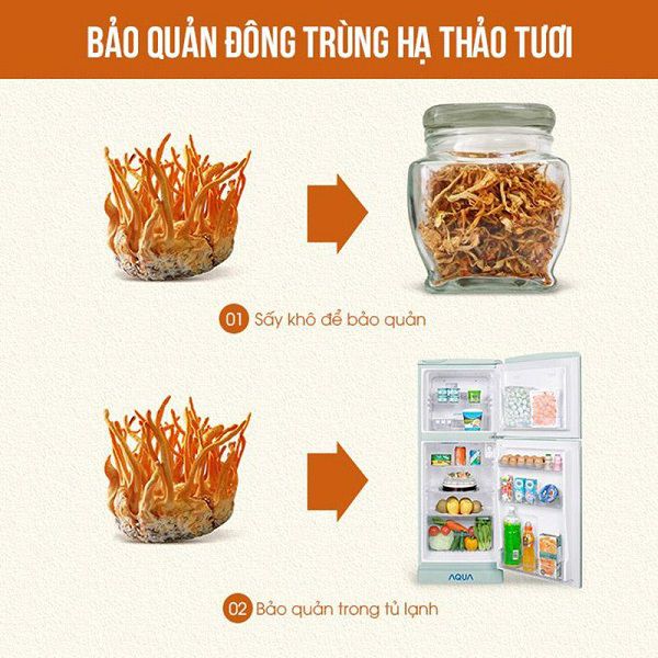 Đông trùng hạ thảo Nagaki