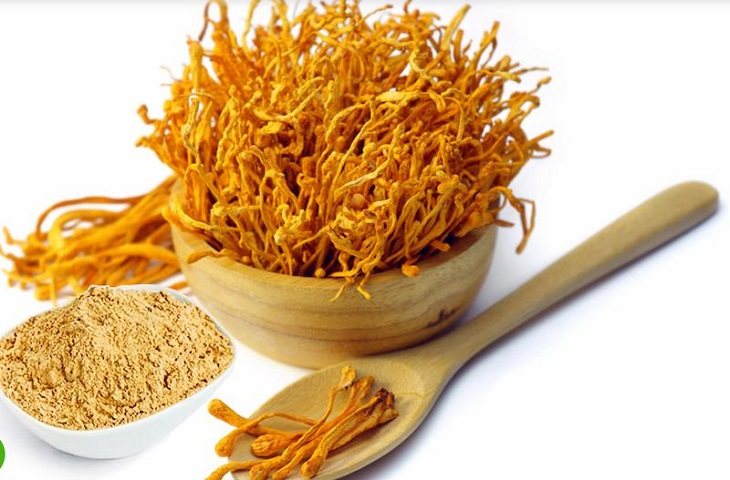 đông trùng hạ thảo dạng bột, đông trùng hạ thảo bột, bột đông trùng hạ thảo có tác dụng gì, bột đông trùng hạ thảo đắp mặt nạ, cách sử dụng bột đông trùng hạ thảo, bột đông trùng hạ thảo nhật bản, cách uống đông trùng hạ thảo bột, cách dùng đông trùng hạ thảo dạng bột, cách sử dụng đông trùng hạ thảo dạng bột