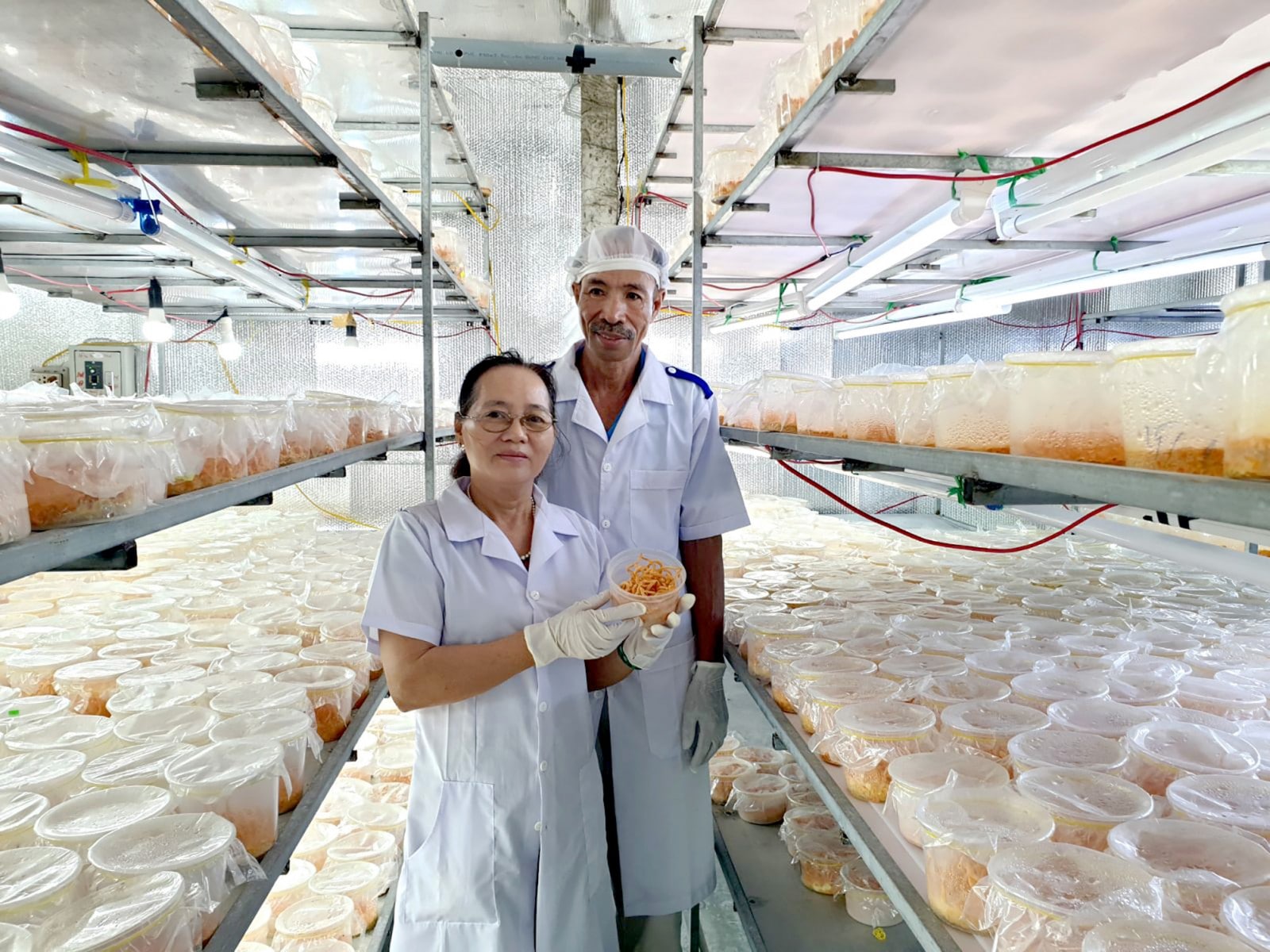 chi phí nuôi đông trùng hạ thảo, thiết kế phòng nuôi đông trùng hạ thảo, cách trồng đông trùng hạ thảo tại nhà, nuôi trồng đông trùng hạ thảo, trồng đông trùng hạ thảo tại nhà, phòng nuôi đông trùng hạ thảo, chi phí đầu tư nuôi đông trùng hạ thảo, mua giống đông trùng hạ thảo ở đâu, bán giống đông trùng hạ thảo, mua giống đông trùng hạ thảo, hướng dẫn trồng đông trùng hạ thảo, cách trồng nấm đông trùng hạ thảo tại nhà, nuôi đông trùng hạ thảo ở việt nam, hướng dẫn trồng đông trùng hạ thảo tại nhà, đầu tư nuôi đông trùng hạ thảo, mua phôi giống đông trùng hạ thảo ở đâu, cung cấp giống đông trùng hạ thảo, nuôi đông trùng hạ thảo cần bao nhiều vốn