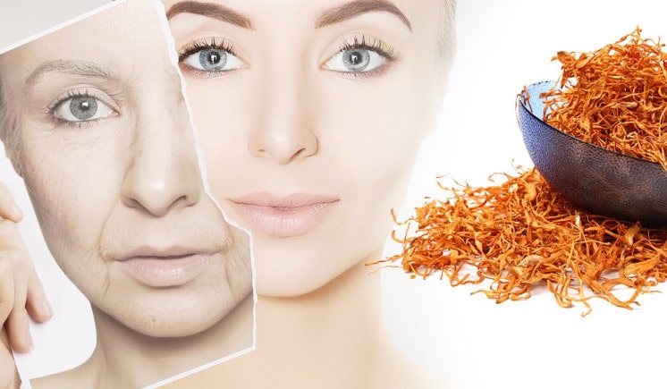 đông trùng hạ thảo dạng bột, đông trùng hạ thảo bột, bột đông trùng hạ thảo có tác dụng gì, bột đông trùng hạ thảo đắp mặt nạ, cách sử dụng bột đông trùng hạ thảo, bột đông trùng hạ thảo nhật bản, cách uống đông trùng hạ thảo bột, cách dùng đông trùng hạ thảo dạng bột, cách sử dụng đông trùng hạ thảo dạng bột