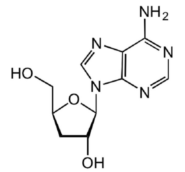 đông trùng hạ thảo cordyceps, cordyceps là gì, đông trùng hạ thảo cordyceps militaris, cordyceps militaris là gì, hàm lượng cordycepin trong đông trùng hạ thảo