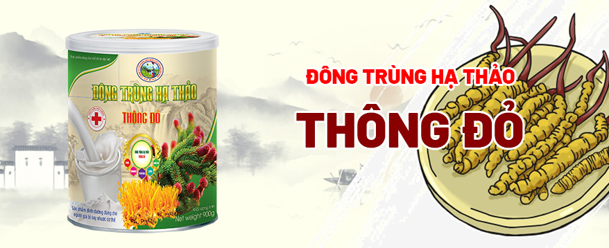 sữa đông trùng hạ thảo, sữa đông trùng hạ thảo giá bao nhiêu, sữa bột đông trùng hạ thảo giá bảo nhiều, sữa bột đông trùng hạ thảo, sữa nghệ đông trùng hạ thảo, sữa chua đông trùng hạ thảo, giá sữa đông trùng hạ thảo 400g, sữa đông trùng hạ thảo có giá bảo nhiều, sữa đông trùng hạ thảo lừa đảo, sữa rửa mặt đông trùng hạ thảo, sữa đông trùng hạ thảo giá, sữa bột đông trùng hạ thảo lừa đảo, giá tiền sữa đông trùng hạ thảo, sữa đông trùng hạ thảo giá bảo nhiều tiến, sữa đông trùng hạ thảo thông đỏ, tác dụng của sữa đông trùng hạ thảo, sữa đông trùng hạ thảo bao nhiêu tiền, sữa halan milk đông trùng hạ thảo, sữa đông trùng hạ thảo có tốt không, sữa đông trùng hạ thảo có tác dụng gì, cà phê sữa đông trùng hạ thảo