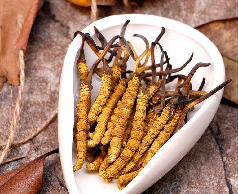 đông trùng hạ thảo tây tạng, đông trùng hạ thảo tây tạng giá bao nhiêu, đông trùng hạ thảo tây tạng giá, tác dụng của đông trùng hạ thảo tây tạng, cách sử dụng đông trùng hạ thảo tây tạng, đông trùng hạ thảo tây tạng tươi, đông trùng hạ thảo tây tạng nguyên con, đông trùng hạ thảo na khúc tây tạng, giá của đông trùng hạ thảo tây tạng, đông trùng hạ thảo ở tây tạng, giá đông trùng hạ thảo khô tây tạng, giá bán đông trùng hạ thảo tây tạng, cách dùng đông trùng hạ thảo tây tạng, bán đông trùng hạ thảo tây tạng, đông trùng hạ thảo tây tạng trung quốc, đông trùng hạ thảo tây tạng là gì, cách ngâm rượu đông trùng hạ thảo tây tạng, đông trùng hạ thảo tây tạng tác dụng, khai thác đông trùng hạ thảo tây tạng, thu hoạch đông trùng hạ thảo ở tây tạng, đông trùng hạ thảo tây tạng cách dùng
